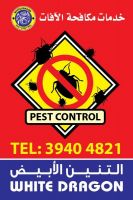 Pest Control Services (Odourless)
